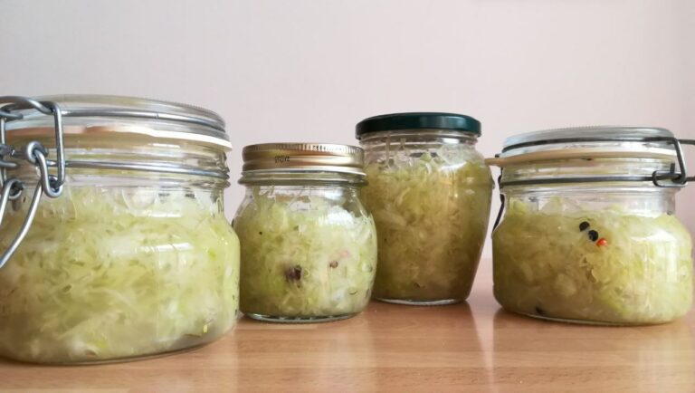 fermentazione