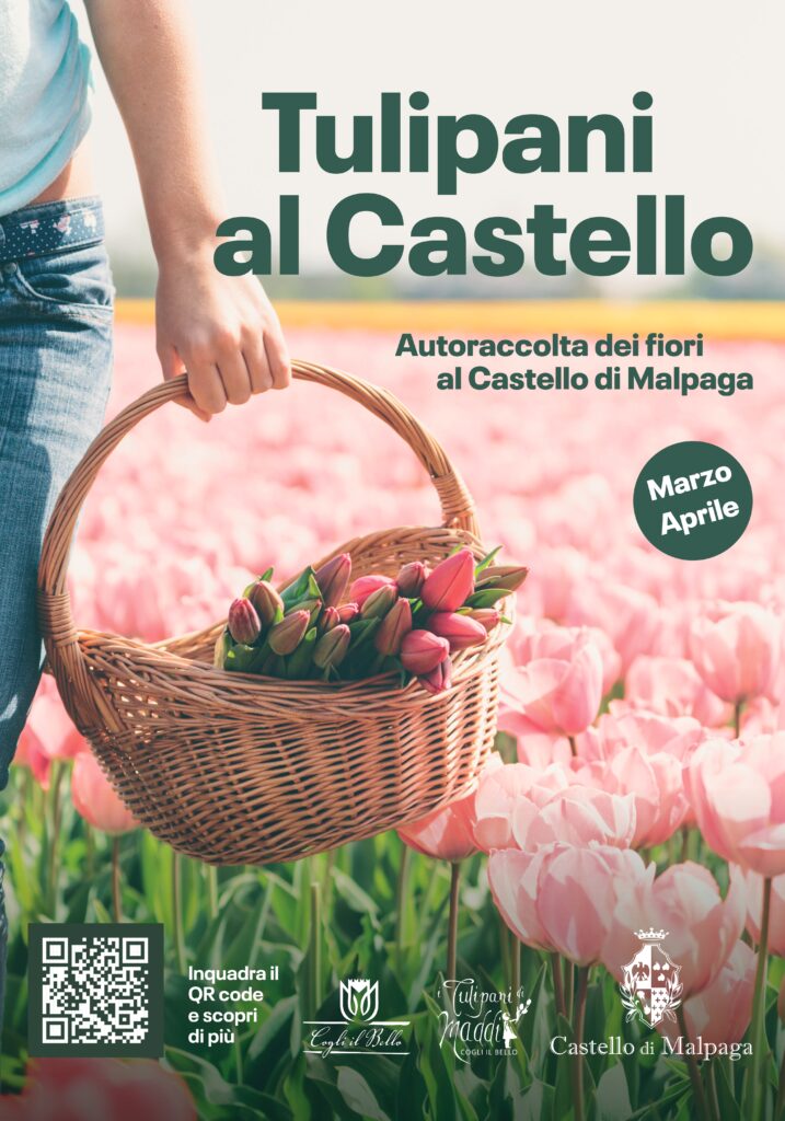 castello malpaga